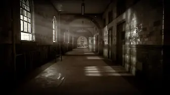 The Inpatient (PS4)